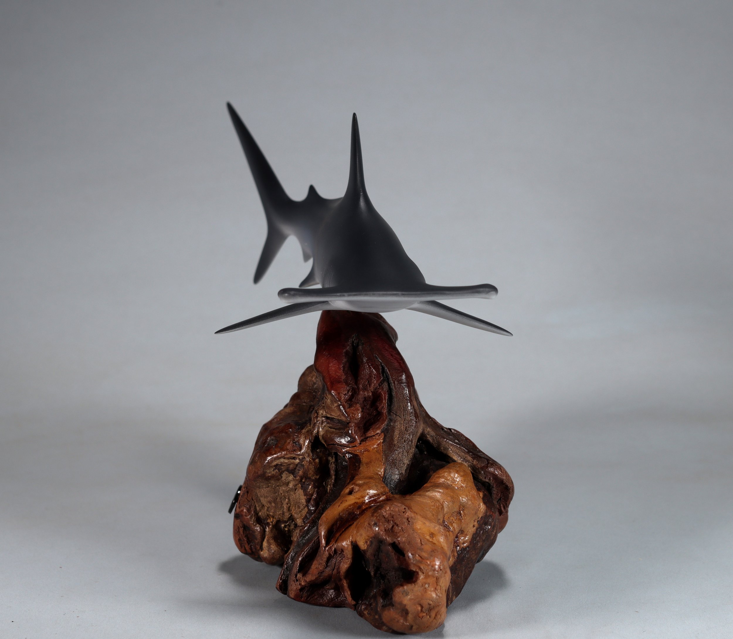 Hammerhead Sharks — All Items — JOHN PERRY STUDIO